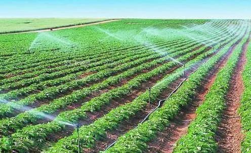 大吊干美女农田高 效节水灌溉